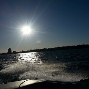 Meet your Posher, Jody